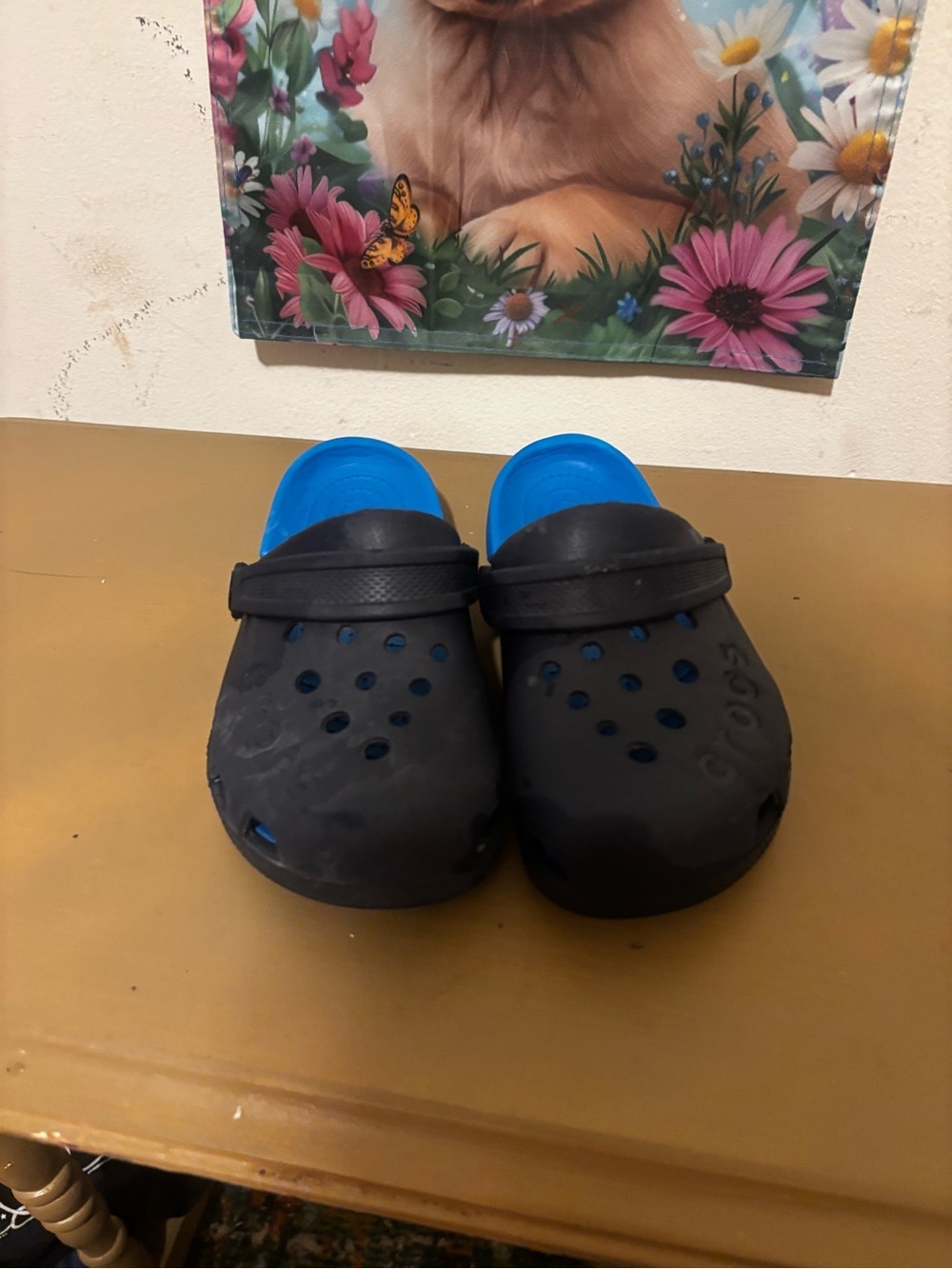 CROCS Kids Black and Blue Slip-On Clogs with Strap